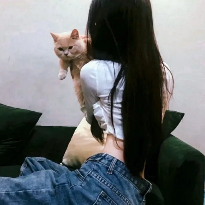 极地暗杀 第三季